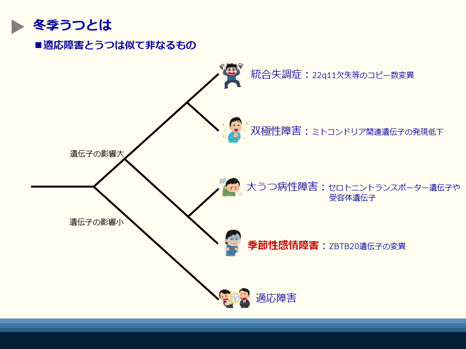 冬季うつ|症状・原因・対策・治し方などを解説 | 東京カウンセリングオフィス